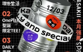 王猛奇版式设计第30期2020年11月结课【画质高清有素材】