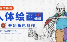 画画的春哥人体绘画入门修炼2021【画质高清有素材】
