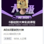 陈京京AE从0基础到大神【画质高清有素材】