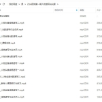 ZILA团练第1期2023日系人物速写色彩光影ipad插画课【画质清晰有笔刷】