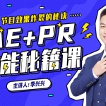 向天歌李兴兴AE+Pr高能秘籍课完整有素材