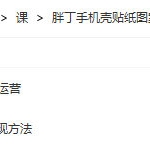 【缺课】胖丁画师IP运营与变现方法+图案设计与接单运营【画质高清只有视频】