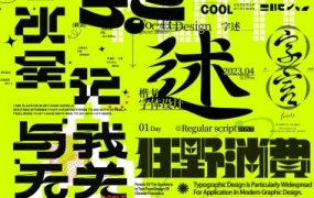 付顽童商业字体设计第16期2022年12月结课【画质还可以只有视频】