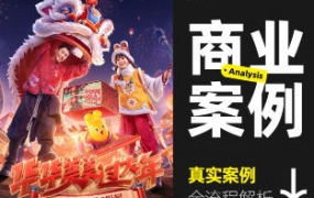 真实商业案例全流程详解2023全新DLC【画质还行只有视频】