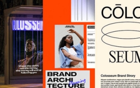 Coloso品牌设计从实践到完成作品集【画质高清只有视频】